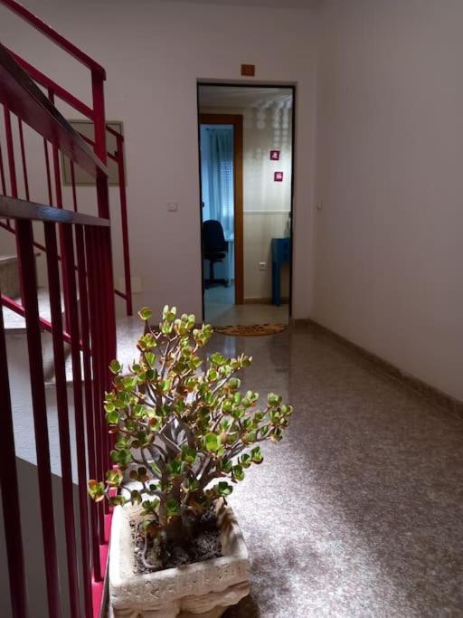 Apartamento Tranquilo Cerca De Zonas Verdes Cieza Exterior photo